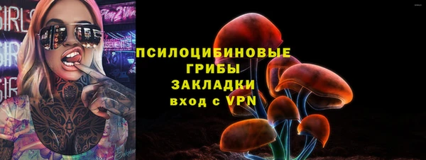 винт Арсеньев