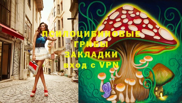 apvp Балахна
