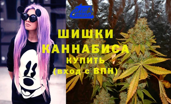 apvp Балахна