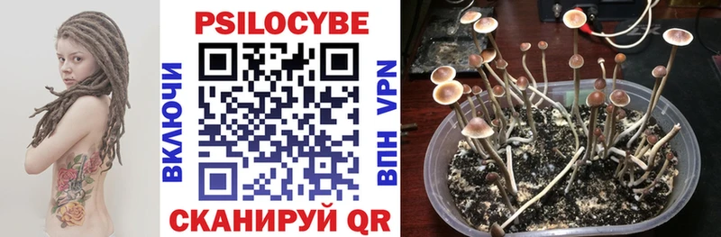 купить наркотик  гидра tor  Псилоцибиновые грибы ЛСД  Радужный 